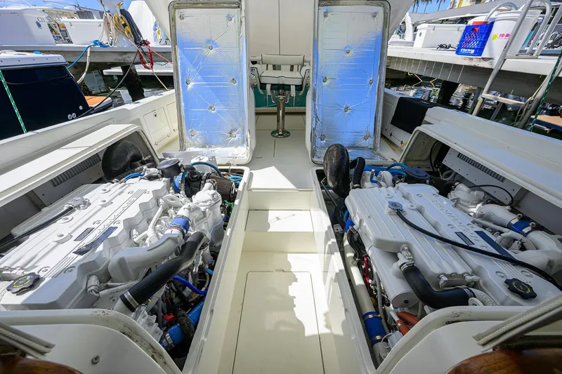 Slide: The Image of Bertram 31 Mr. Toad - - 31