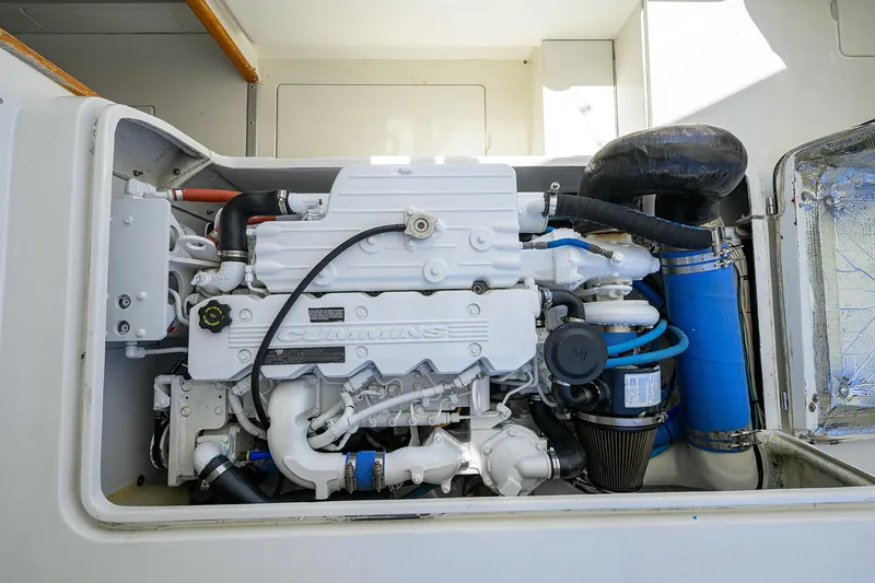 Slide: The Image of Bertram 31 Mr. Toad - - 32