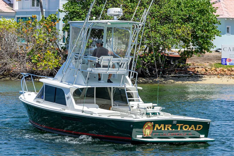 Slide: The Image of Bertram 31 Mr. Toad - - 37