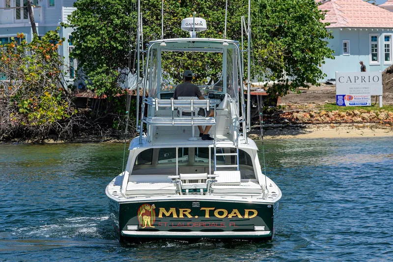 Slide: The Image of Bertram 31 Mr. Toad - - 38