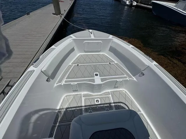 Slide: The Image of Polar 195 2026 - 11