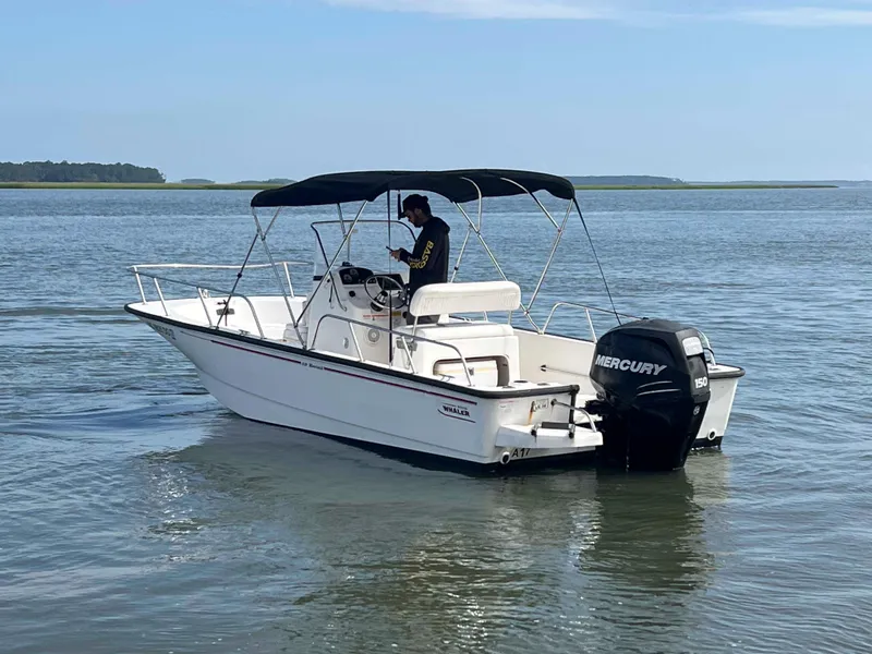 Slide: The Image of 2014 Boston Whaler 210 Montauk boat on calm water with Mercury engine. - 7