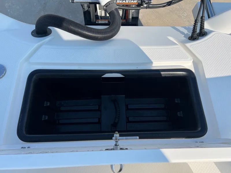 Slide: The Image of Blue Wave 2600 Pure Bay 2021 - 39