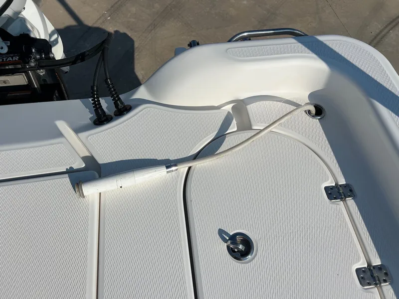 Slide: The Image of Blue Wave 2600 Pure Bay 2021 - 43