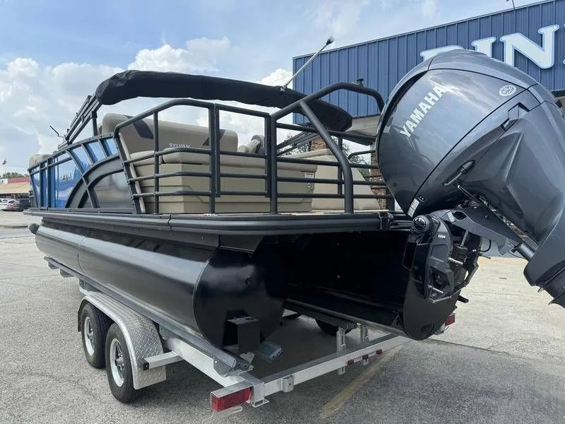 Slide: The Image of Sylvan L3 DLZ 2025 - 8