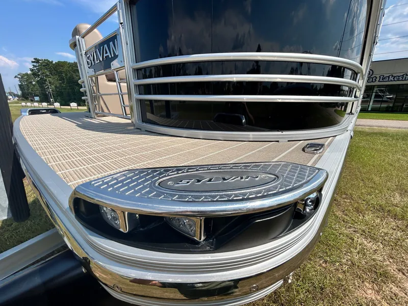 Slide: The Image of Sylvan S3 DLZ DH 2025 - 10