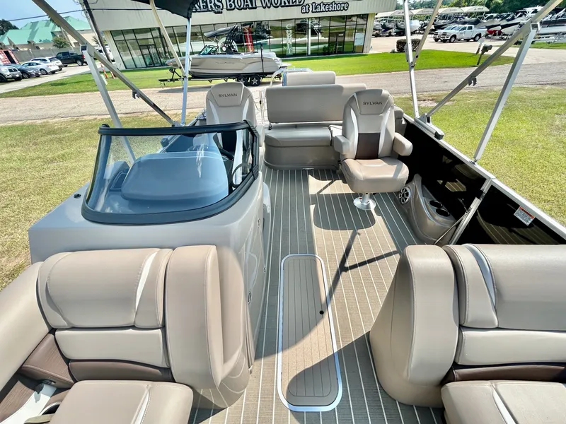 Slide: The Image of Sylvan S3 DLZ DH 2025 - 17