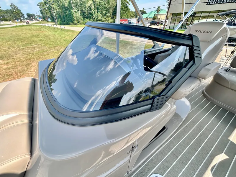 Slide: The Image of Sylvan S3 DLZ DH 2025 - 21