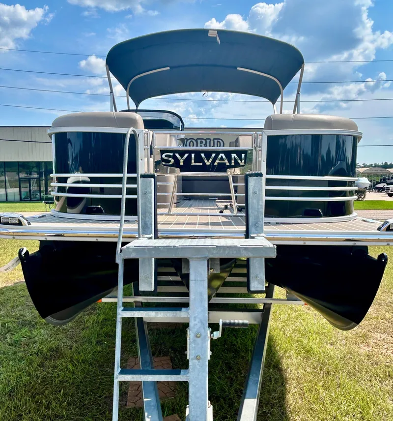 Slide: The Image of Sylvan S3 DLZ DH 2025 - 7