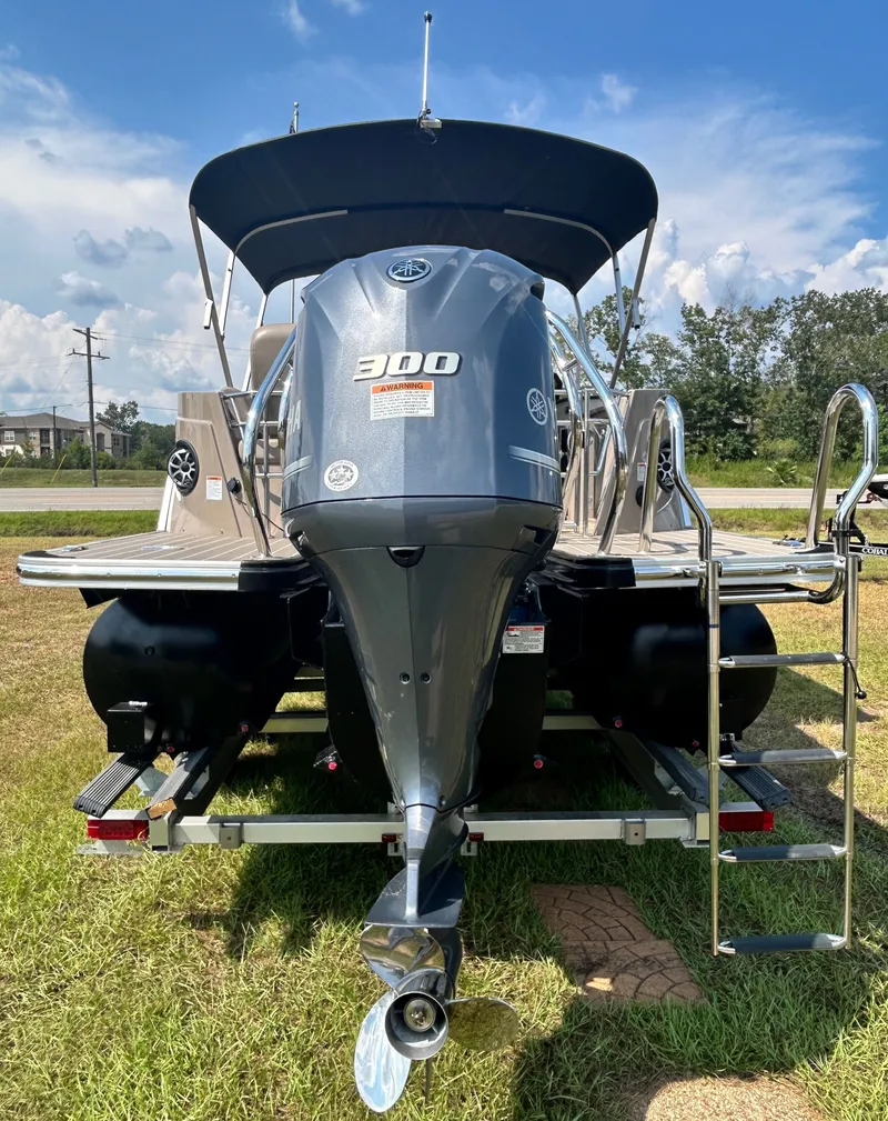 Slide: The Image of Sylvan S3 DLZ DH 2025 - 8