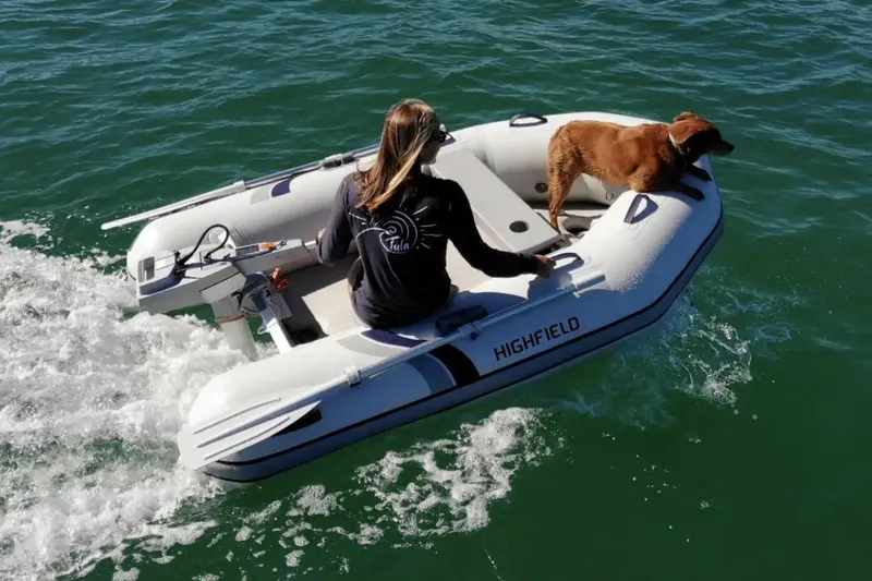 The Image of 2025 Highfield Roll-Up 250 KAM inflatable boat with person and dog on water. - 0