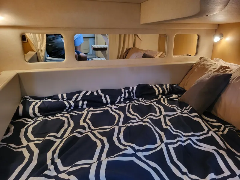 Slide: The Image of 2009 Sea Ray 310 Sundancer cabin with patterned bedding and ambient lighting. - 6