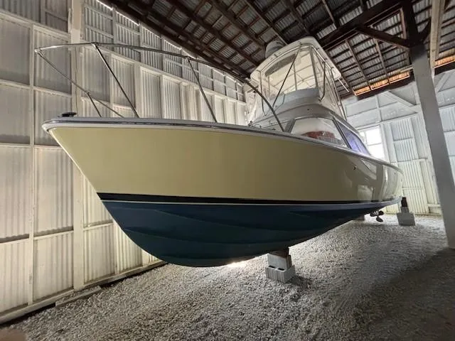 Slide: The Image of Bertram 31 1972 - 1