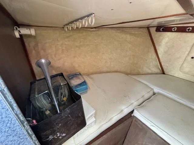 Slide: The Image of Bertram 31 1972 - 14