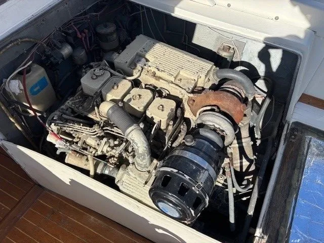 Slide: The Image of Bertram 31 1972 - 18