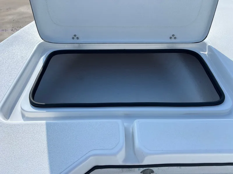 Slide: The Image of Shoalwater 23 Cat 2025 - 14