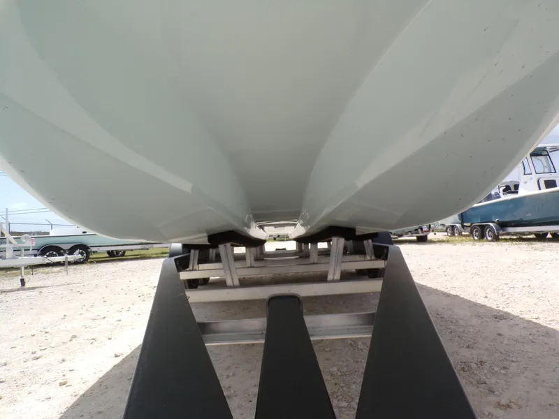 Slide: The Image of Shoalwater 23 Cat 2025 - 6