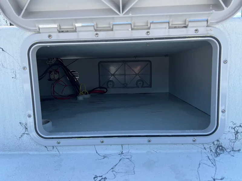 Slide: The Image of Shoalwater 23 Cat 2025 - 13