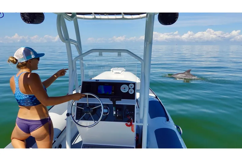Slide: The Image of Woman on Highfield Patrol 540 boat watching dolphin in the sea. - 3