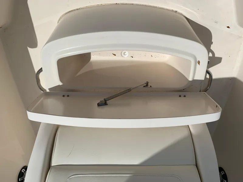 Slide: The Image of Grady-White Fisherman 236 2020 - 32