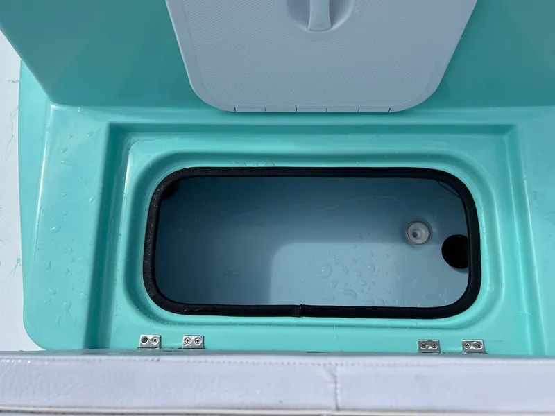 Slide: The Image of Shoalwater 21 Cat 2025 - 16