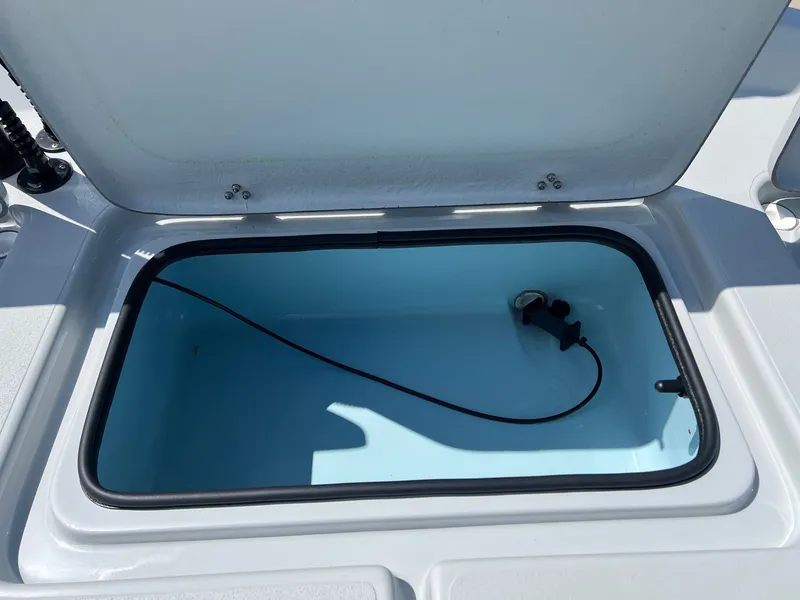 Slide: The Image of Shoalwater 23 Cat 2025 - 28