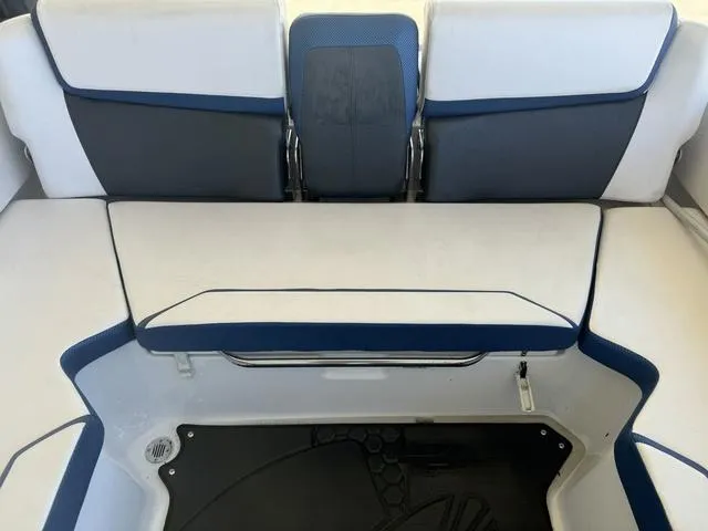 Slide: The Image of Scarab 215 ID 2023 - 23