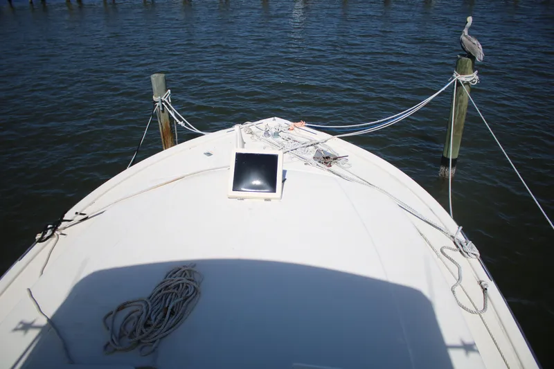 Slide: The Image of Bow of 1974 Viking Boats 40 Sport Fish with ropes and pelican on dock. - 16