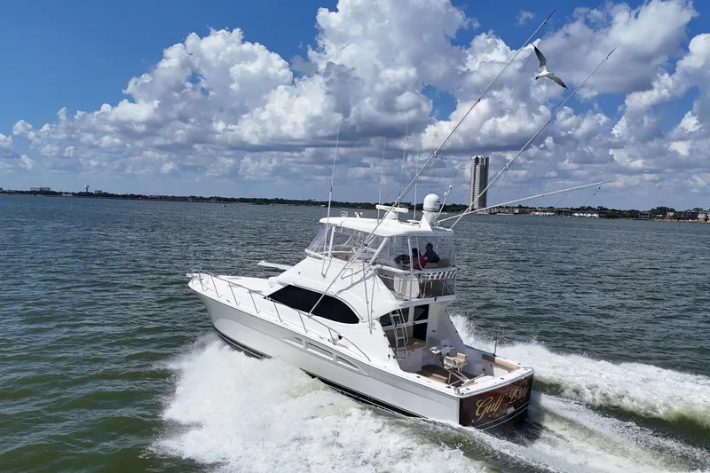 The Image of 2005 Riviera 47 Open Flybridge yacht cruising on a sunny day with seagulls overhead. - 0
