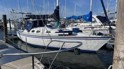 Slide: The Image of Hunter 34.8 1984 - 1