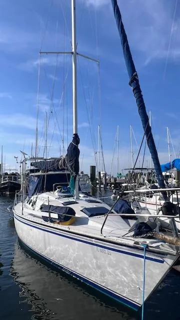 Slide: The Image of Hunter 34.8 1984 - 2