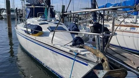 Slide: The Image of Hunter 34.8 1984 - 3