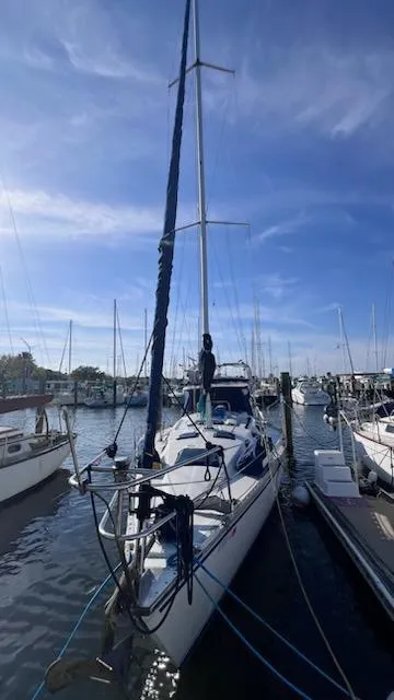 Slide: The Image of Hunter 34.8 1984 - 7