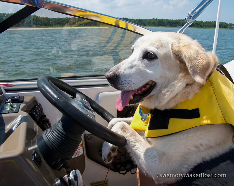 Slide: The Image of Regal 2565 Window Express 2006 - 17