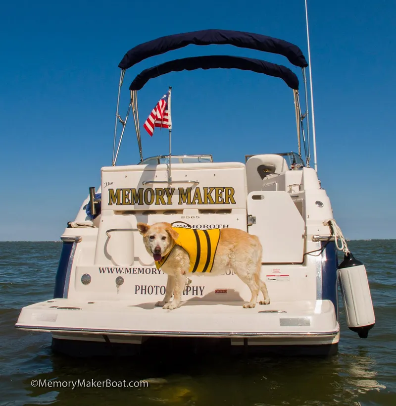 Slide: The Image of Regal 2565 Window Express 2006 - 18