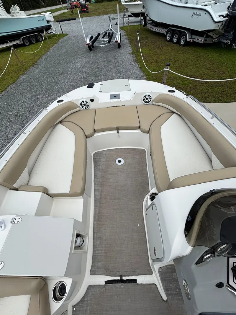 Slide: The Image of Stingray 192 SC 2019 - 8