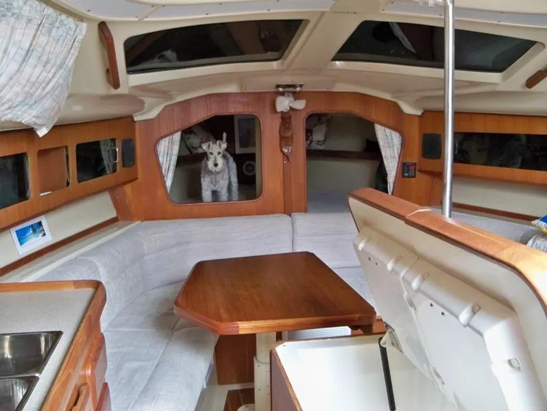 Slide: The Image of Main Cabin Looking Fwd - note open refrigeration "Island" - 6