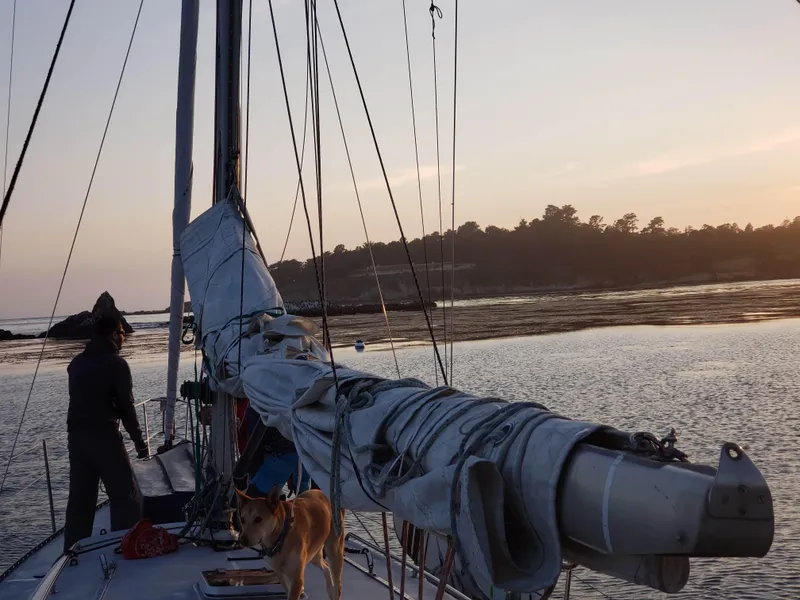 Slide: The Image of Sailboat Santa Cruz 50 at sunset with person and dog on deck, 1986 model. - 8