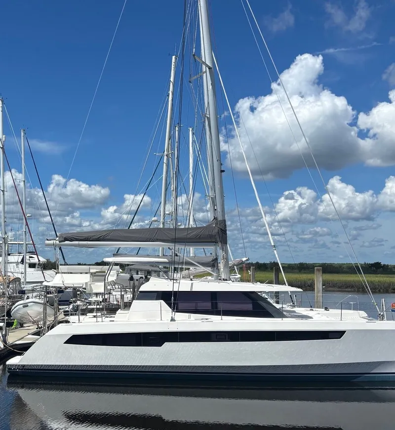 The Image of Leopard 50 2020 - 0