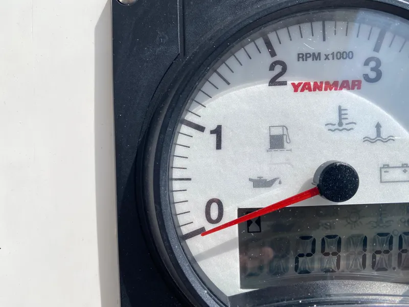 Slide: The Image of Leopard 50 2020 - 14