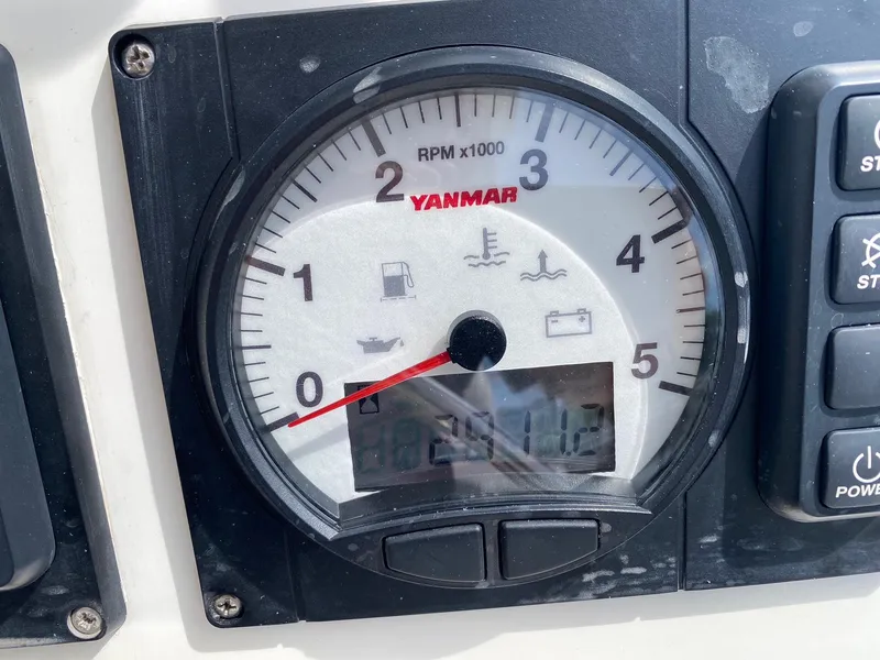 Slide: The Image of Leopard 50 2020 - 15