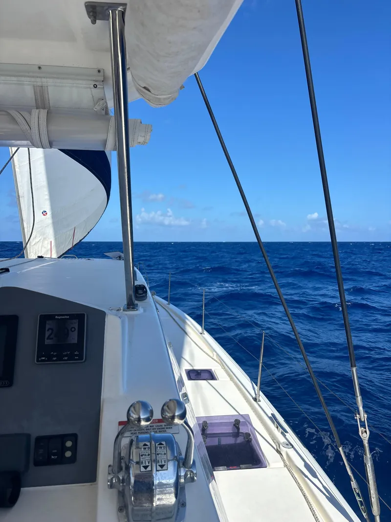 Slide: The Image of Leopard 50 2020 - 16