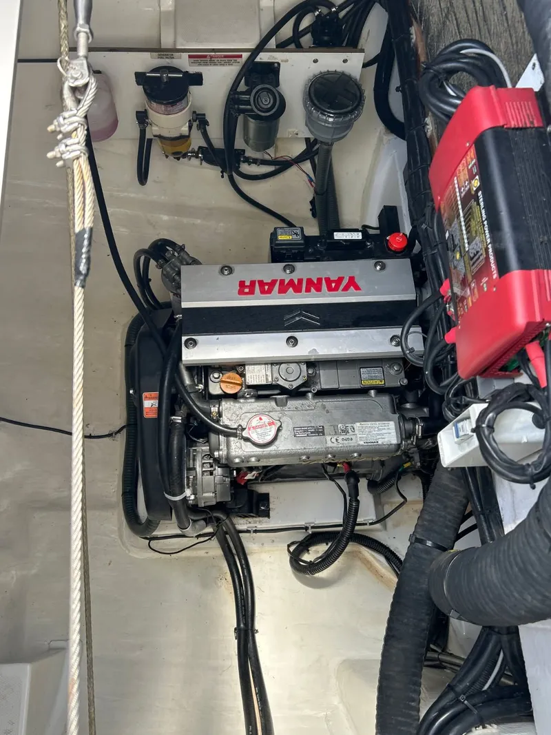 Slide: The Image of Leopard 50 2020 - 40