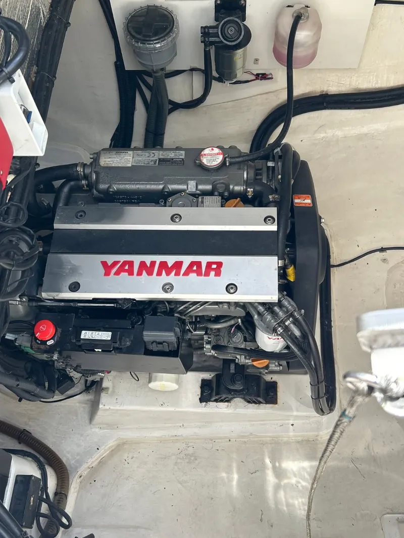 Slide: The Image of Leopard 50 2020 - 41