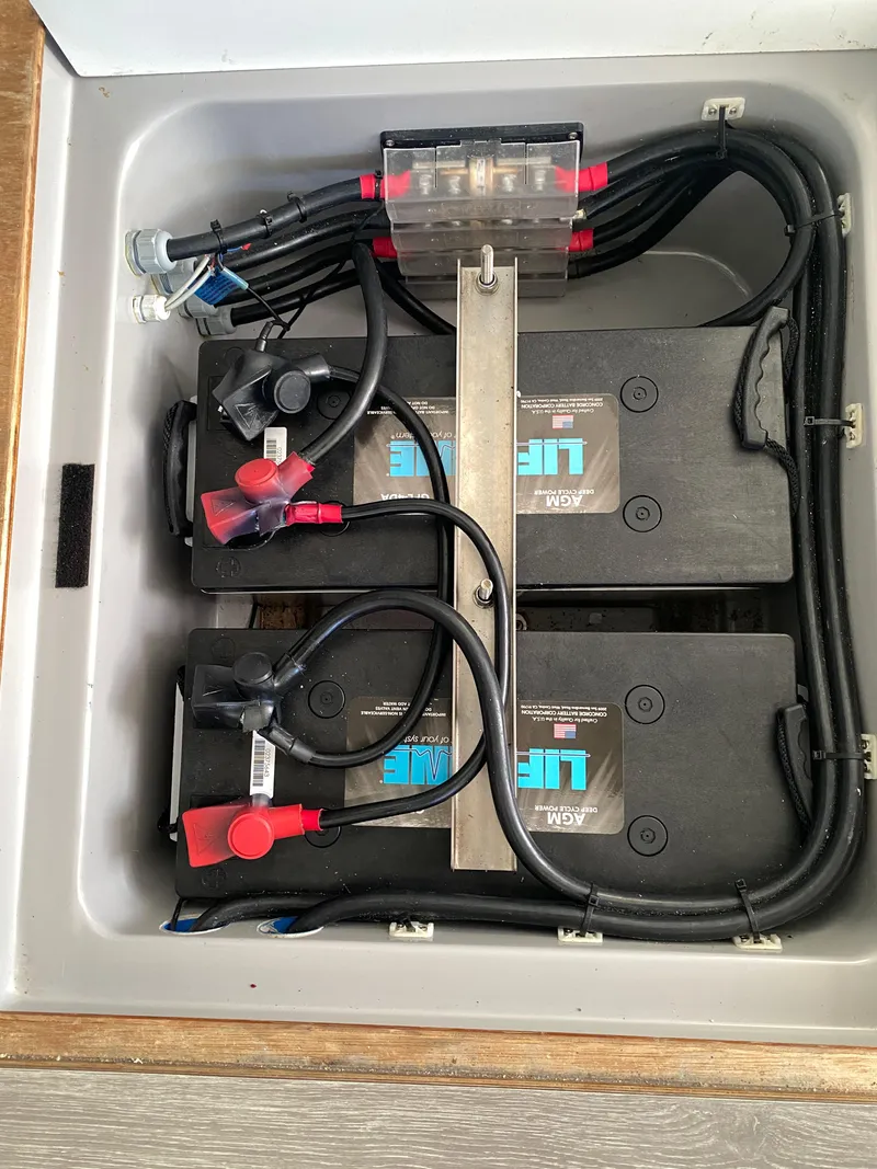 Slide: The Image of Leopard 50 2020 - 42