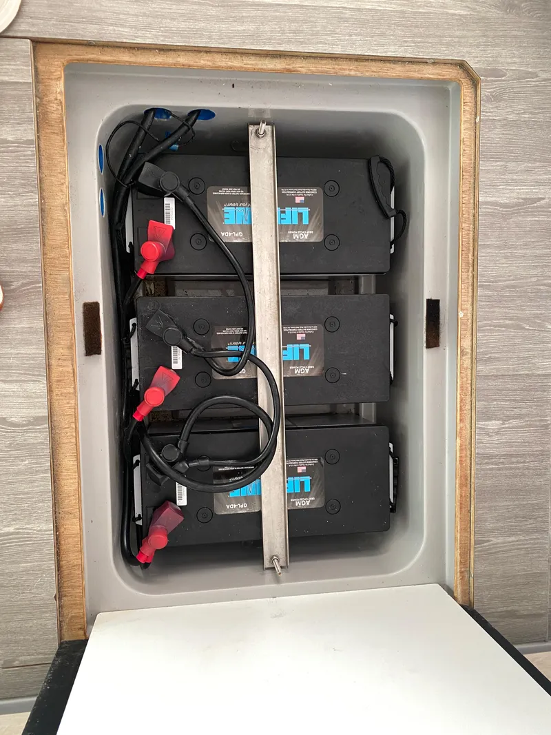 Slide: The Image of Leopard 50 2020 - 43