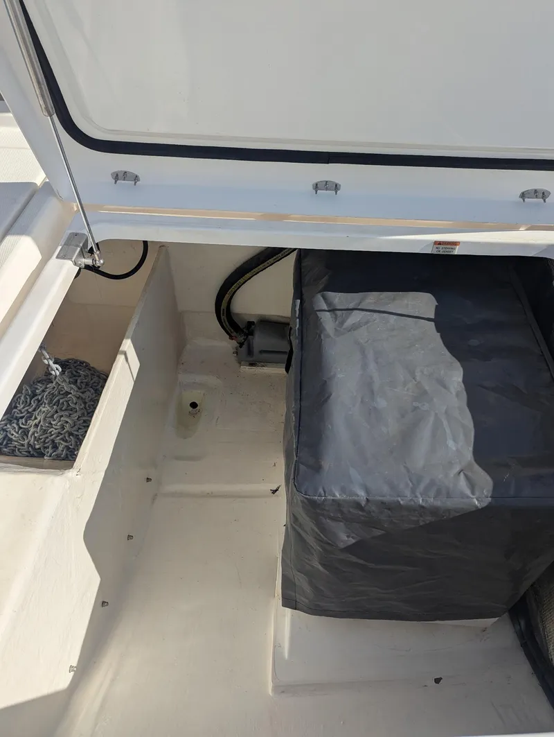 Slide: The Image of Leopard 50 2020 - 44