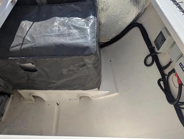 Slide: The Image of Leopard 50 2020 - 46