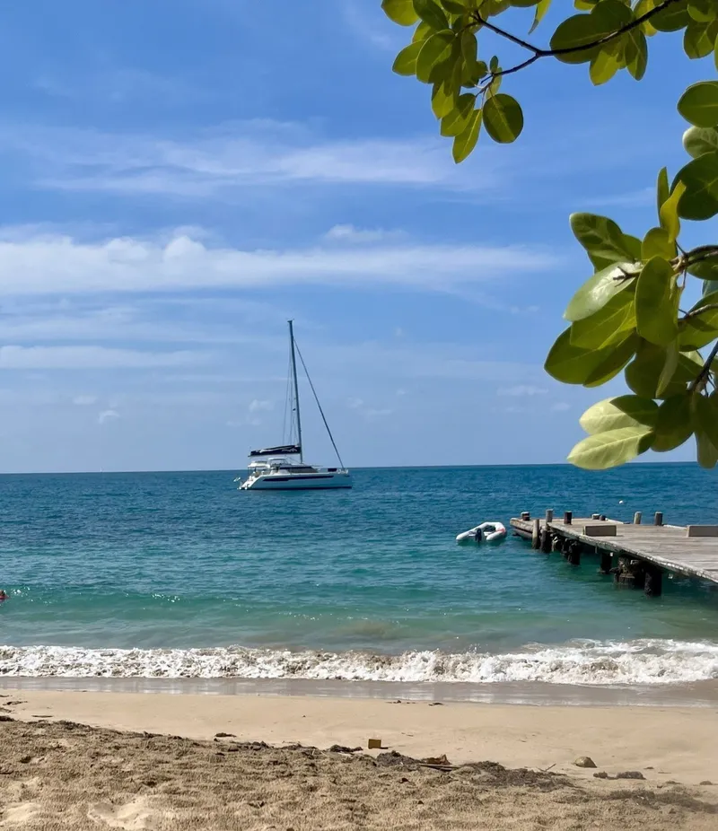 Slide: The Image of Leopard 50 2020 - 54