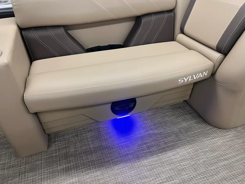 Slide: The Image of Sylvan Mirage 8520 Party Fish 2026 - 19